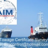 Surveyor marine warranty survey for rig ship tug in tow
